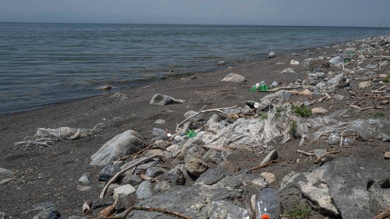 Пластикове сміття в морських тваринах може завдати шкоди людям, попереджає дослідження Пластикове сміття в морських тваринах може завдати шкоди людям, попереджає дослідження