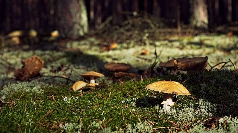 Погодные приметы на 7 сентября Погодные приметы на 7 сентября