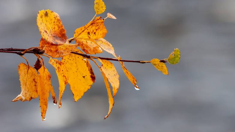 Погодные приметы на 8 сентября