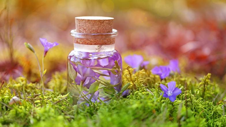 Horoskop na 22 září: Raki by měli uspořádat malou oslavu, a Štíři pracovat na realizaci svých nápadů Horoskop na 22 září: Raki by měli uspořádat malou oslavu, a Štíři pracovat na realizaci svých nápadů