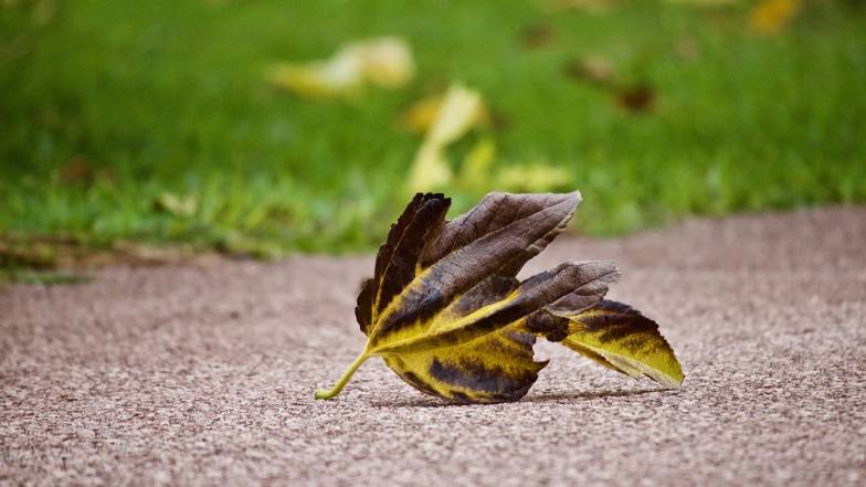 Prognoza pogody na 11 października Prognoza pogody na 11 października