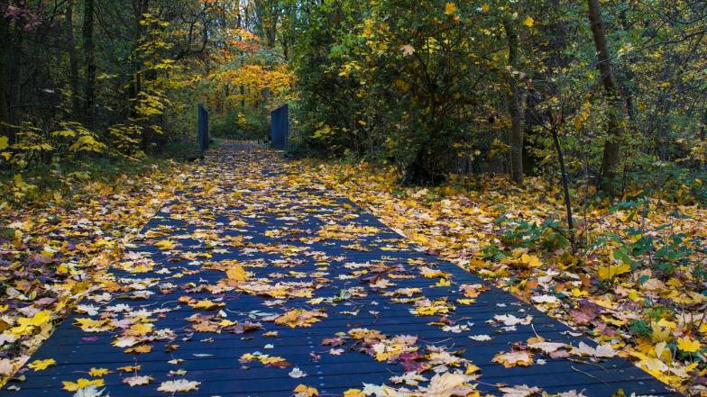Погода в Украине на четверг, 2 ноября Погода в Украине на четверг, 2 ноября
