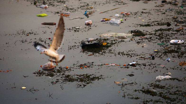 У Південній Азії 347 млн. дітей страждають від нестачі води за умов зміни клімату У Південній Азії 347 млн. дітей страждають від нестачі води за умов зміни клімату
