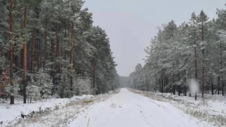 Цієї ночі Волинь засипало першим снігом Цієї ночі Волинь засипало першим снігом