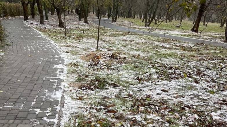 ФОТО: Погода в Одессе: первый снег и деревопад ФОТО: Погода в Одессе: первый снег и деревопад