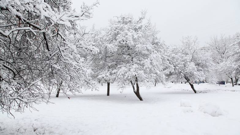 Погодні прикмети на 17 грудня Погодні прикмети на 17 грудня