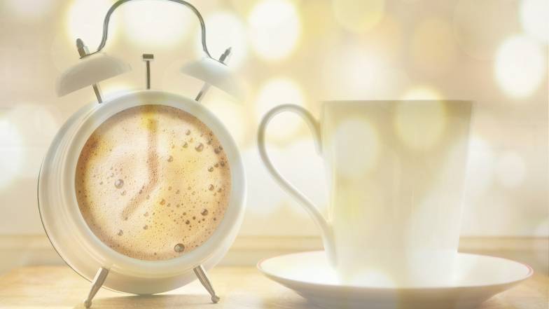 Semnele Zodiacale care se ronțăie în permanență pe ele însele Semnele Zodiacale care se ronțăie în permanență pe ele însele