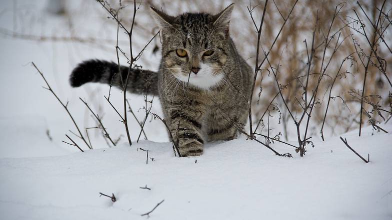 Именины и погодные приметы 13 января: у кого День ангела и что нельзя делать Именины и погодные приметы 13 января: у кого День ангела и что нельзя делать