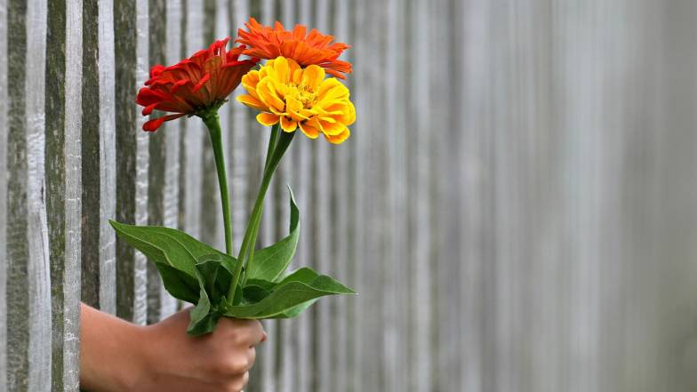 Які обрати квіти на перше побачення? Які обрати квіти на перше побачення?