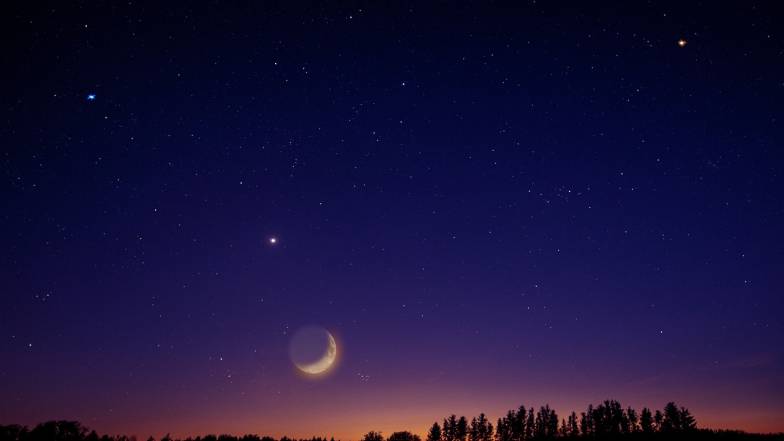 Semnele Zodiacale care sunt contraindicate pentru a avea animale de companie Semnele Zodiacale care sunt contraindicate pentru a avea animale de companie