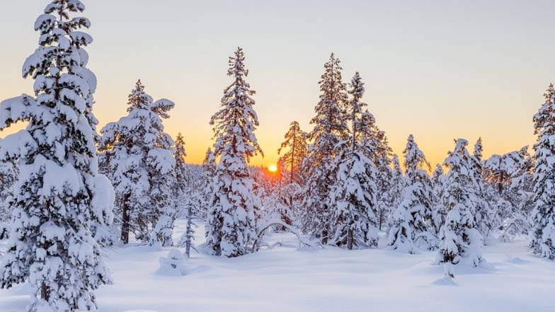 Погодные приметы на 17 февраля Погодные приметы на 17 февраля