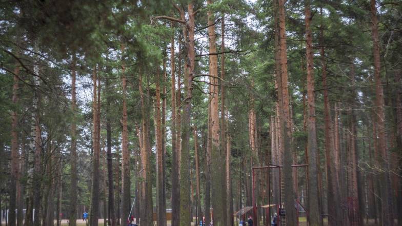 Погода в Україні на вівторок, 20 лютого Погода в Україні на вівторок, 20 лютого