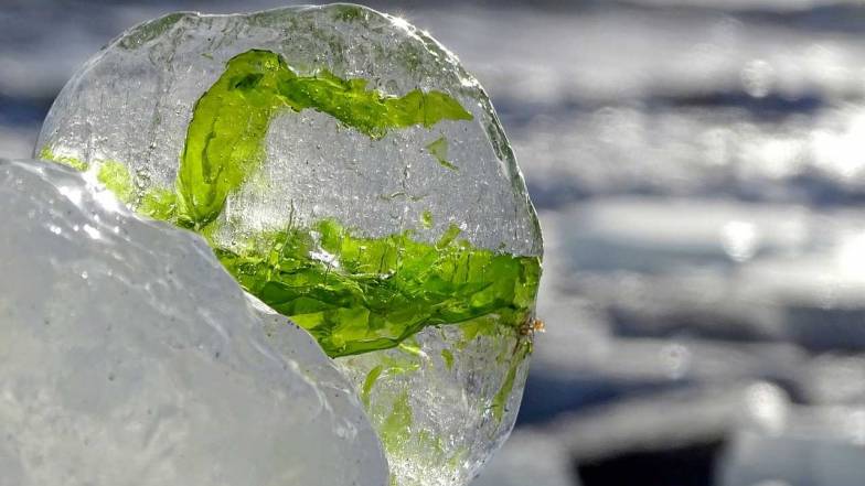 Гороскоп здоров'я на 18 квітня 2024 року Гороскоп здоров'я на 18 квітня 2024 року