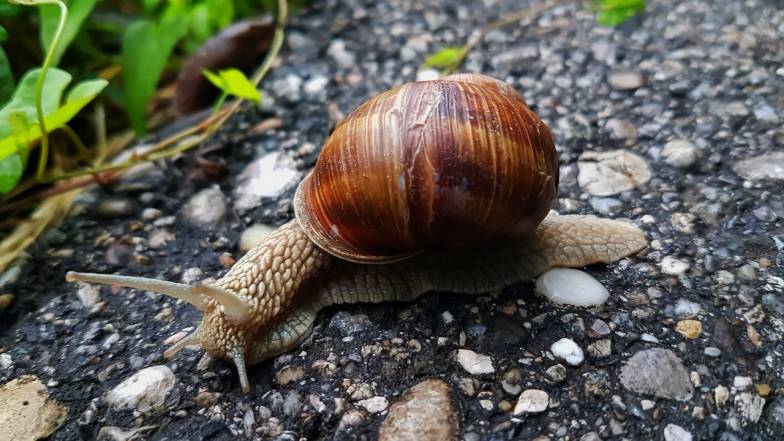 В Україні 23 квітня буде свіжо та сухо, але не всюди В Україні 23 квітня буде свіжо та сухо, але не всюди