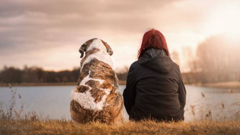 Trei semne Zodiacale care adoră câinii: prieteni loiali și tovarăși blănoși Trei semne Zodiacale care adoră câinii: prieteni loiali și tovarăși blănoși