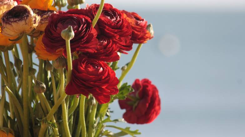 Погода на 27 червня: грійте тіло та серця Погода на 27 червня: грійте тіло та серця