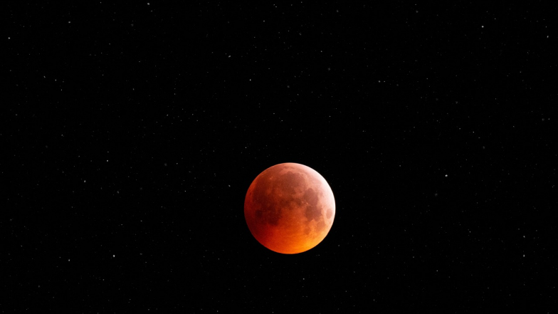 Semnele Zodiacale care se acomodează cu haosul și chiar pot prospera în el Semnele Zodiacale care se acomodează cu haosul și chiar pot prospera în el