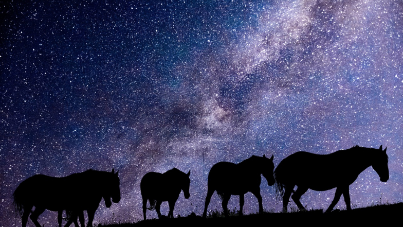 Horoskop na 4 srpna: čas na meditaci Horoskop na 4 srpna: čas na meditaci
