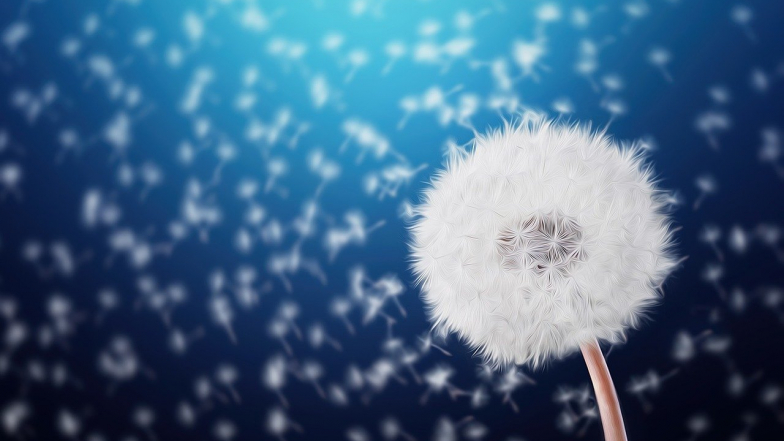 Horoscop pentru 26 august: e timpul să te relaxezi Horoscop pentru 26 august: e timpul să te relaxezi