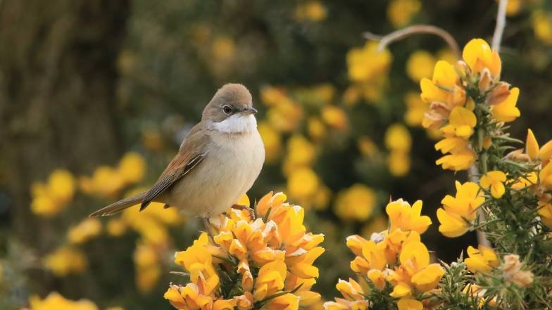 Погода в Україні на неділю, 1 вересня