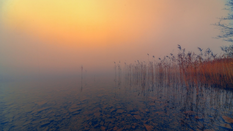 Horoskop na 23 října: Býki najdou zdroj inspirace a Panny odvahu k důležitým rozhovorům Horoskop na 23 října: Býki najdou zdroj inspirace a Panny odvahu k důležitým rozhovorům