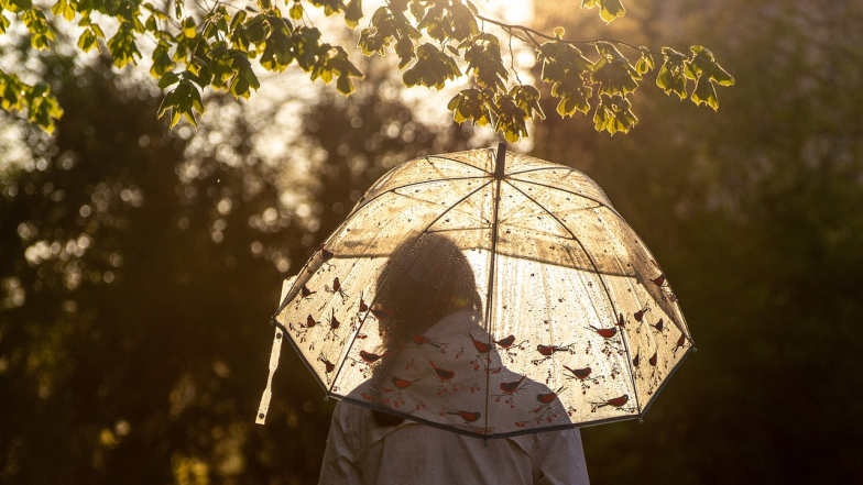 Horoskop na 24 października: Bliźnięta otrzymają nieoczekiwane wiadomości, a Rak będzie miał nowe możliwości Horoskop na 24 października: Bliźnięta otrzymają nieoczekiwane wiadomości, a Rak będzie miał nowe możliwości