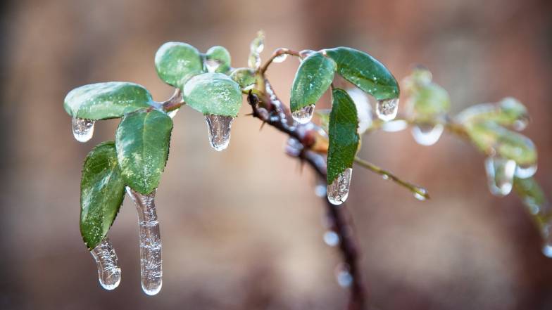 Погода на 13 листопада: поспішайте міняти резину на зимову, бо очікується мокрий сніг чи льодяний дощ