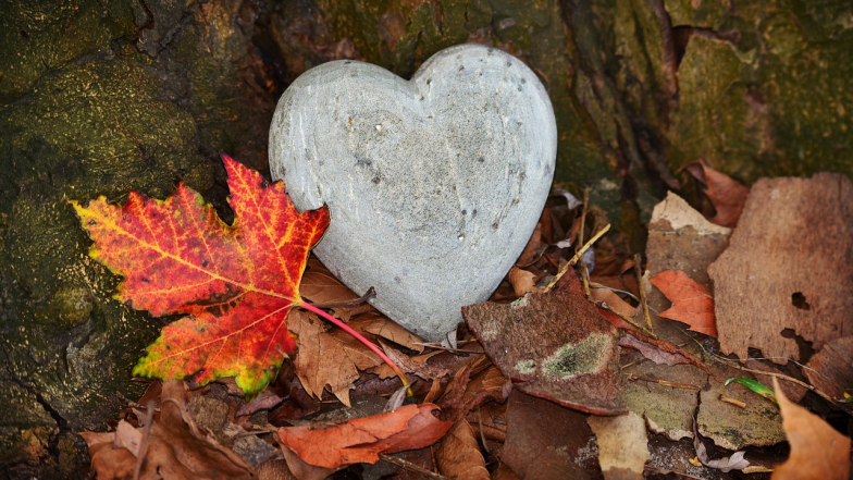 Любовный гороскоп на 15 ноября 2024 года