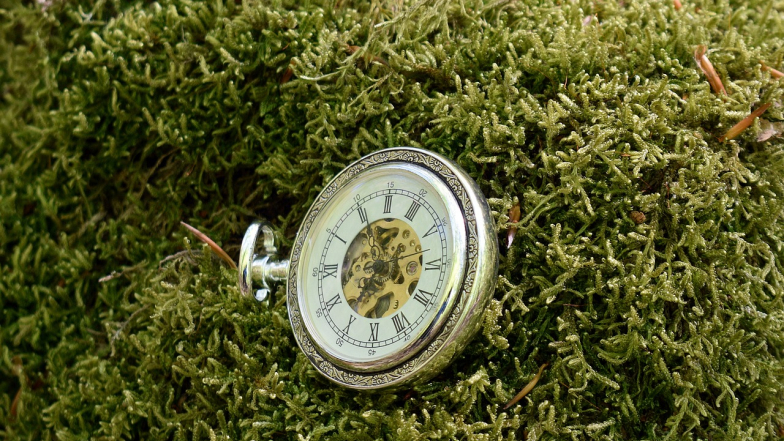 Horoskop na 11 prosince: Příjemná překvapení pro Býky, a upřímné rozhovory pro Střelce Horoskop na 11 prosince: Příjemná překvapení pro Býky, a upřímné rozhovory pro Střelce