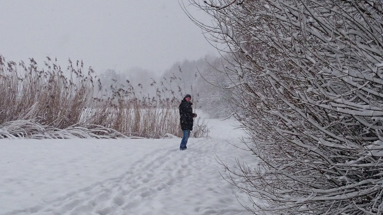Погода на 13 лютого: у четвер трохи потепліє Погода на 13 лютого: у четвер трохи потепліє