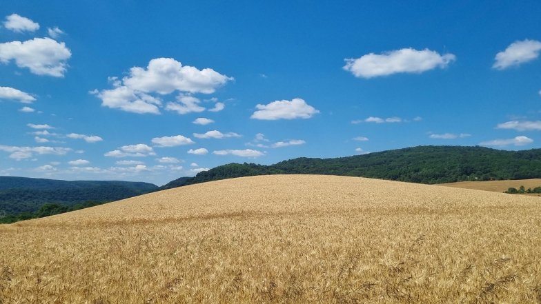 Прогноз погоди в Україні на тиждень: 28 липня – 3 серпня 2025 Прогноз погоди в Україні на тиждень: 28 липня – 3 серпня 2025