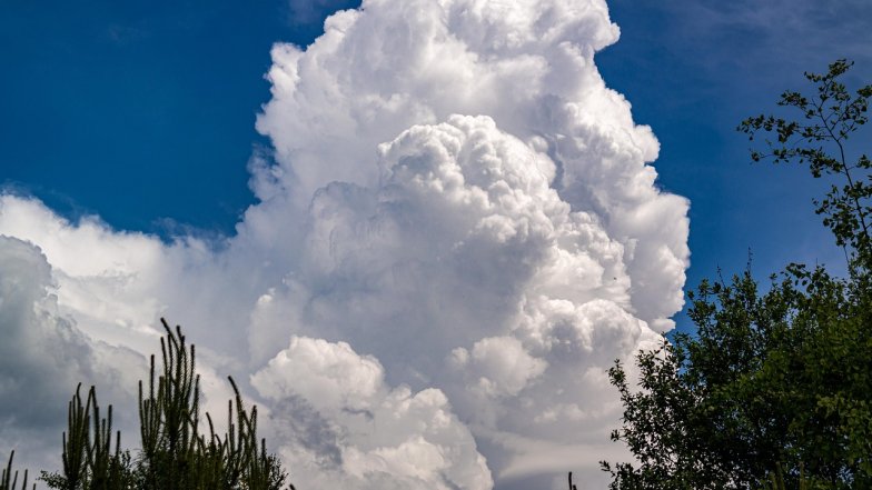 Прогноз погоди в Україні на тиждень: 4 – 10 серпня 2025 Прогноз погоди в Україні на тиждень: 4 – 10 серпня 2025