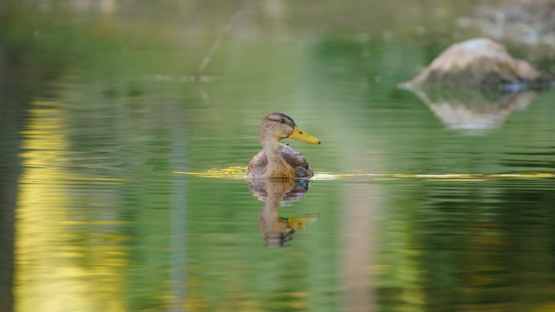 Pogoda w Polsce na piątek, 5 września Pogoda w Polsce na piątek, 5 września