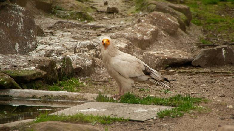 Погода в Украине на четверг, 11 сентября