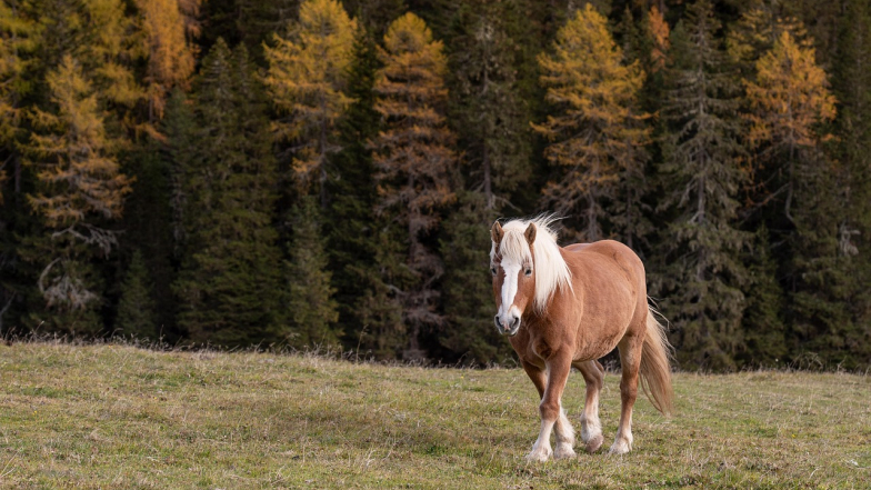 Pogoda w Polsce na piątek, 3 października