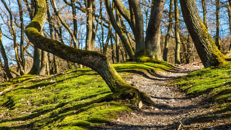Pogoda w Polsce na niedzielę, 5 października