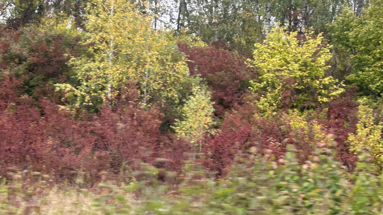 Погода 6 жовтня: хмарно і волого