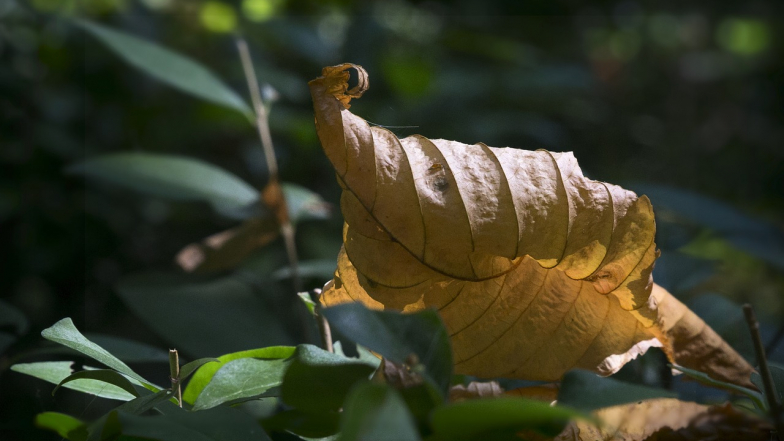 Погода у Львові на середу, 8 жовтня