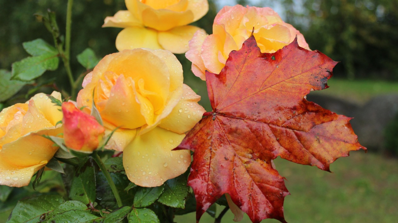 Погода в Одессе на среду, 8 октября