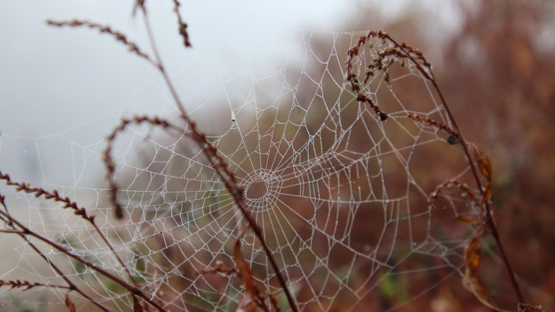 Прогноз погоди в Україні на тиждень: 13 – 19 жовтня 2025