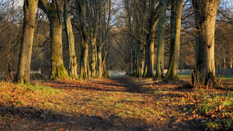 Погода в Україні на понеділок, 13 жовтня