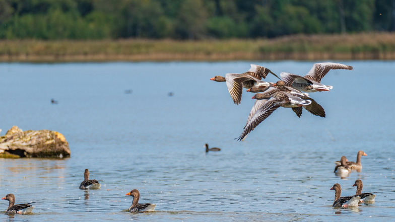 Pogoda w Polsce na środę, 15 października