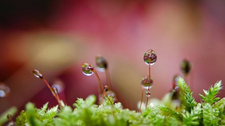 Прогноз погоди в Україні на вихідні: 18 – 19 жовтня 2025