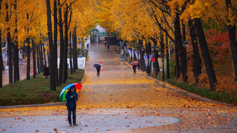 Прогноз погоды в Украине на выходные: 25 – 26 октября 2025