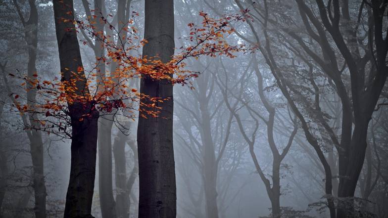ВИДЕО. Погода до конца недели: ветрено, дожди, понижение температуры