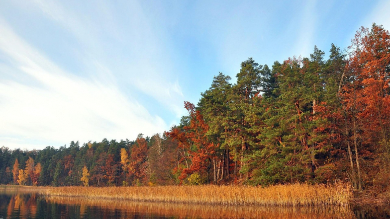 Прогноз погоды в Украине на неделю: 3 – 9 ноября 2025