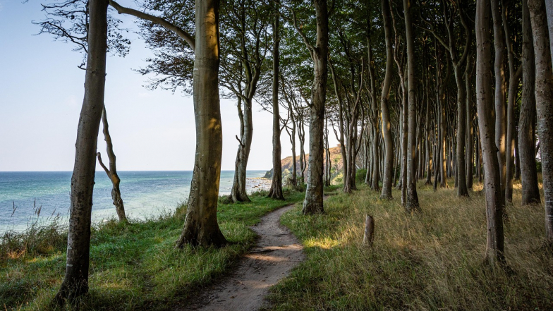 Погода 5 ноября: пока относительно тепло