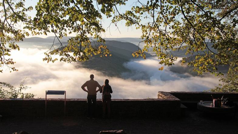 Погода 7 ноября: красиво, несмотря на туманы.