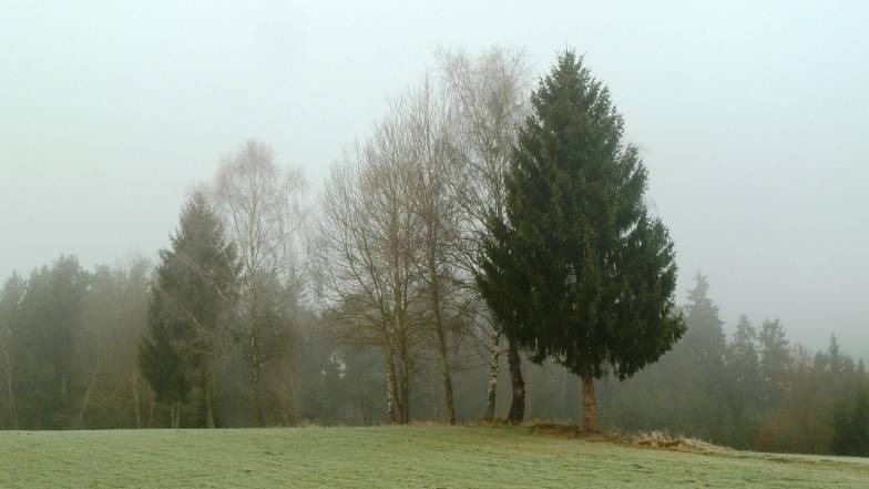 Прогноз погоди в Україні на тиждень: 10 – 16 листопада 2025