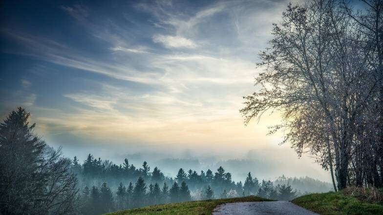 Погода в Києві на понеділок, 11 листопада